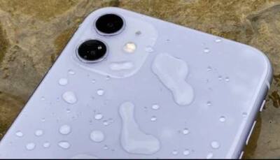 iPhone 11 survives 6 months underwater, finds way back to owner
