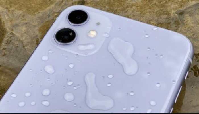 iPhone 11 survives 6 months underwater, finds way back to owner