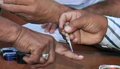Andhra Pradesh municipal elections: Voting underway for 12 corporations, 71 municipalities 