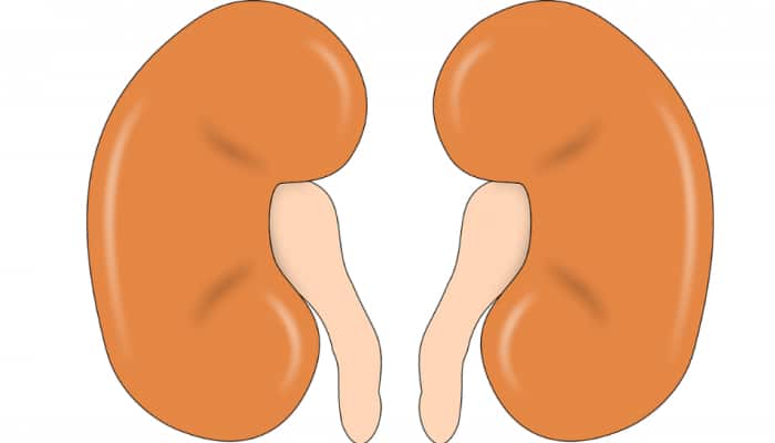 30% increase in weight-gain since lockdown, its linked to kidney ailments 