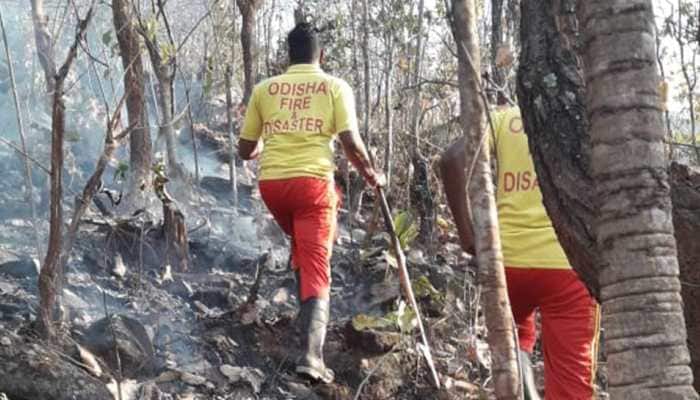 Expert panel sent to help Odisha govt manage Similipal forest fire: Environment minister