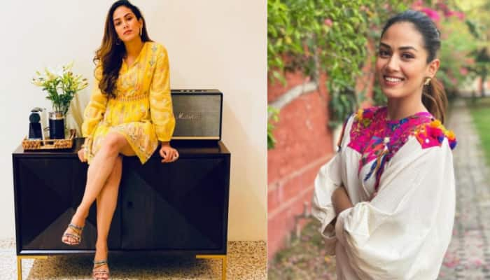 Mira Kapoor stuns in this multicolour saree, check out her look