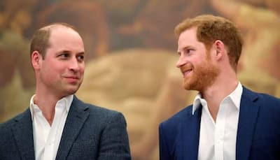 Prince Harry, Prince William to reunite at Princess Diana memorial despite tensions