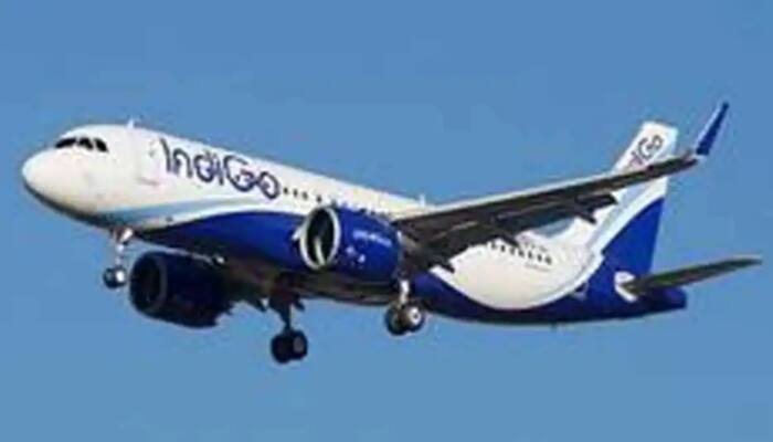 Woman gives birth to baby girl onboard IndiGo Bengaluru-Jaipur flight 