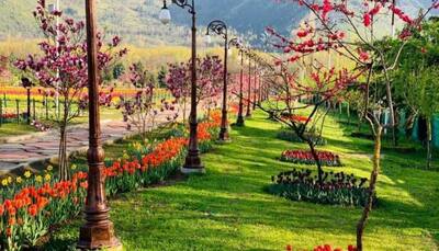 Jammu and Kashmir’s Tulip Garden to open for visitors on March 25- See pics