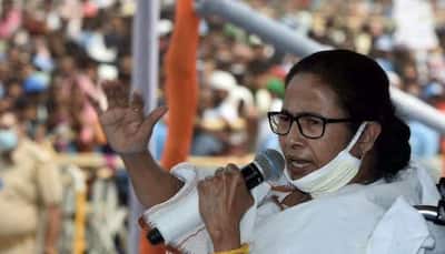 West Bengal CM Mamata Banerjee’s assets dip by 45.08 per cent