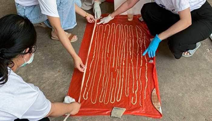 59-foot long tapeworm discovered inside Thai man&#039;s intestines