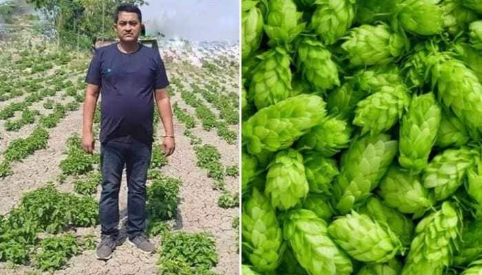 Zee fact file: Bihar farmer&#039;s claims of &#039;Hop-shoots&#039; crop turns out to be fake, check report