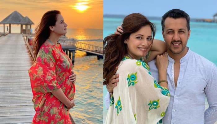 &#039;As women, we must always exercise our choice,&#039; Dia Mirza shuts down a troll for their mean comment on her pregnancy
