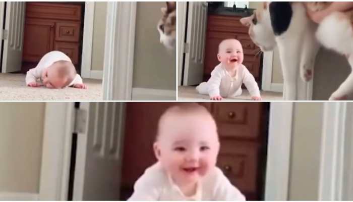 Lighten up your mood watching this cute kid who can't get over his cat