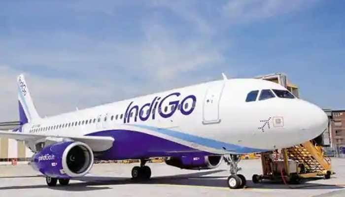 IndiGo flight operations at Goa airport hit after staff go on strike