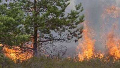 Rains may have scaled down Uttarakhand forest fires: State Forest Department