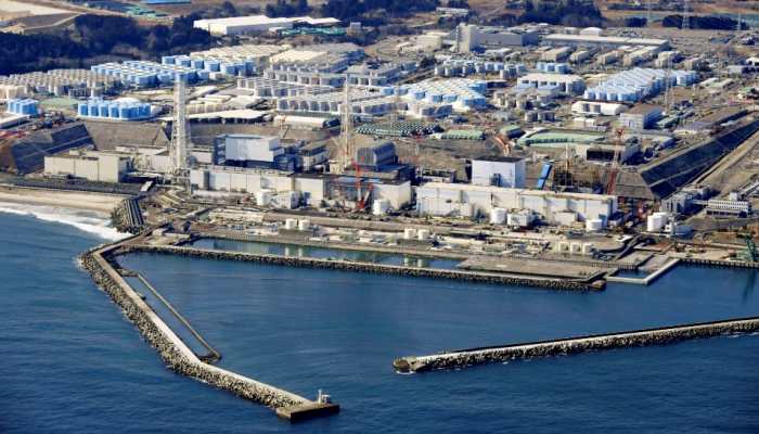 Grave threat to marine life as Japan set to release contaminated Fukushima water into Pacific Ocean