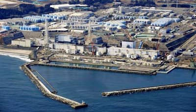 Grave threat to marine life as Japan set to release contaminated Fukushima water into Pacific Ocean