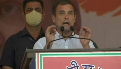 BJP wants to destroy Bengal's culture, heritage and divide it: Rahul Gandhi in a West Bengal rally 