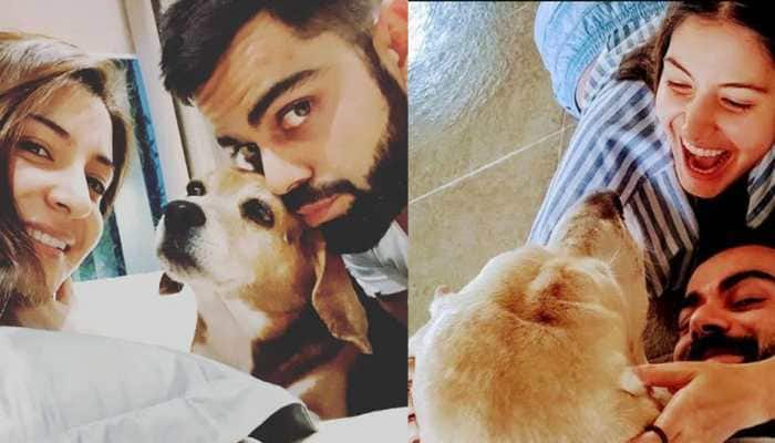 Anushka Sharma and Virat Kohli&#039;s &#039;priceless moments&#039; together in this unseen video proves they are ultimate &#039;pet lovers&#039; - Watch