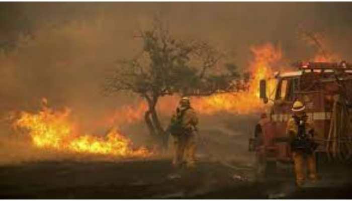 South Africa's Table Mountain on fire, 250 firefighters struggle to scale down blaze