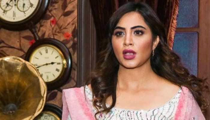 Bigg Boss 14 fame Arshi Khan left shocked at airport as fan kisses her without consent, video goes viral - Watch