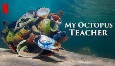 Oscars 2021: 'My Octopus Teacher' wins 'Best Documentary Feature'