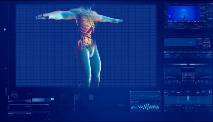 A fatty liver can be dangerous to your heart