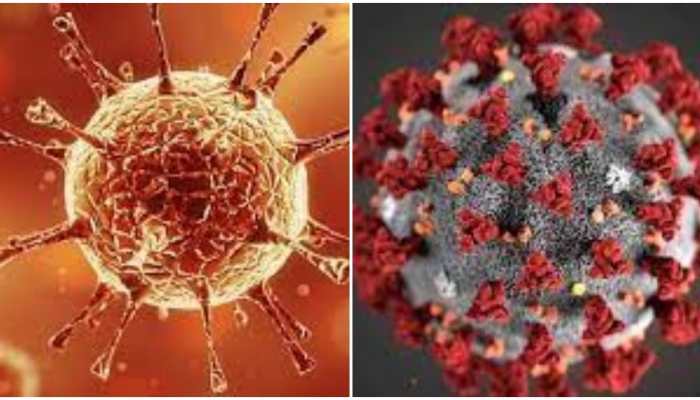 Explainer: All we know about Indian variant of coronavirus that crippled health care system