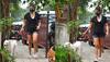 Malaika Arora morning walk