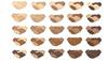 Now a multi-skin tone handshake emoji will arrive in 2022