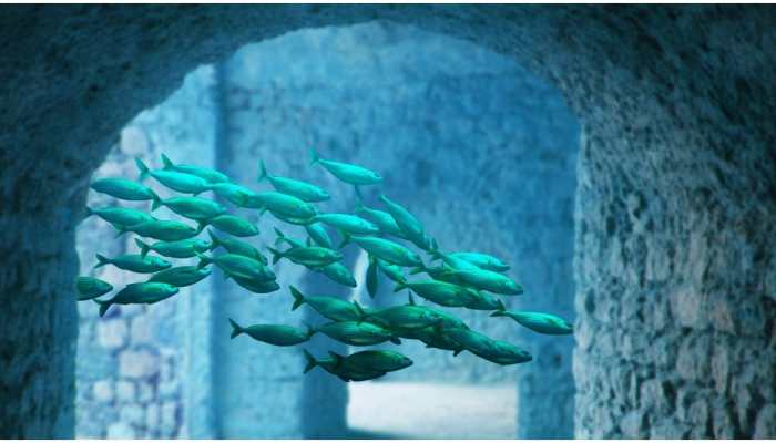 Global warming causes depletion in biodiversity: Study
