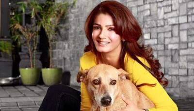 Raveena Tandon: Delhi is almost gasping for breath