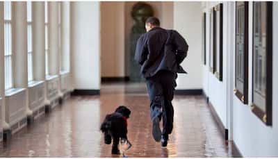 Barack Obama announces death of former US 'first dog', says lost true friend