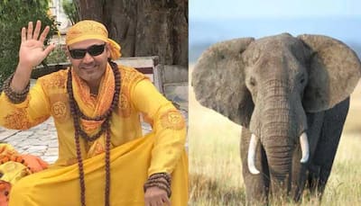 Elephant plays cricket with men in village, Virender Sehwag, Michael Vaughan react to viral video - WATCH
