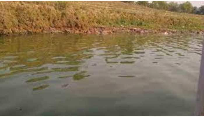 7 more bodies found floating in Ganga in UP&#039;s Ballia; total count reaches 52