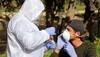 With average 600 deaths per day, US records lowest fatality rate in 10 months