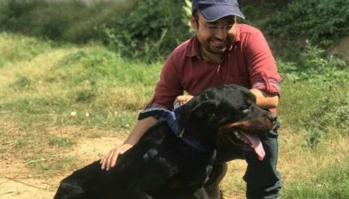 Humanity triumphs over inhumanity proves Abhinav Srihan, founder of Dogs’ Inn