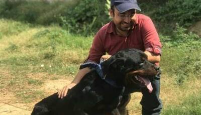 Humanity triumphs over inhumanity proves Abhinav Srihan, founder of Dogs’ Inn
