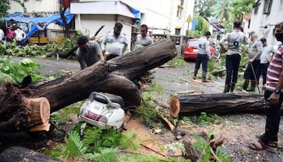Cyclone Tauktae to weaken into a Depression in next few hours after killing over 29, causing widespread damage