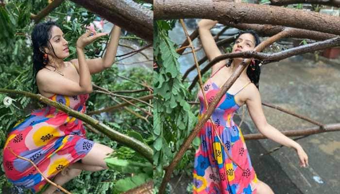 TV actress Deepika Singh MASSIVELY trolled for dancing and posing with a fallen tree amid cyclone Tauktae destruction - Watch