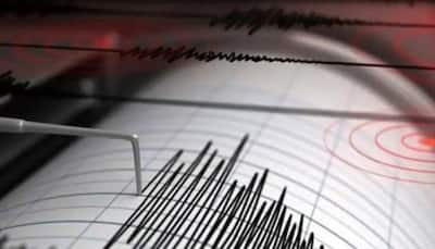 Earthquake of 5.8 magnitude hits Nepal, no loss of lives reported 