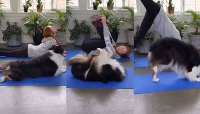 Netizens go crazy over this clip of adorable dog doing yoga, video goes viral
