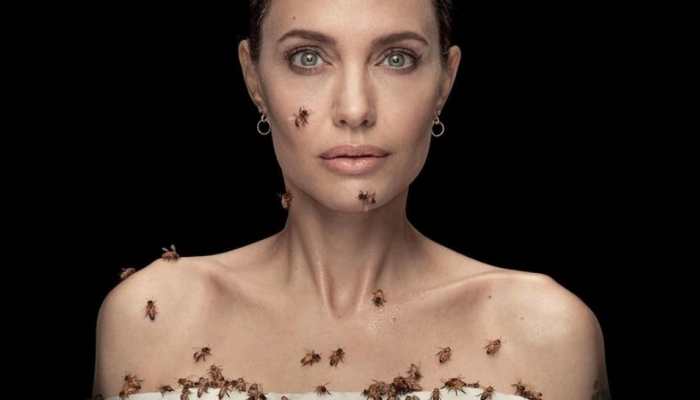 Angelina Jolie&#039;s shocking photoshoot with &#039;bees for 18 mins&#039; breaks internet - Watch viral video