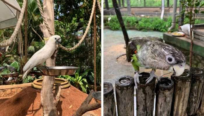 EsselWorld&#039;s interactive Bird Park kickstarts #DayInALifeOfACelebirdy campaign on its two-year anniversary!