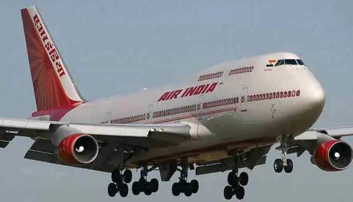 Bat found in US-bound Air India flight, plane returns to Delhi