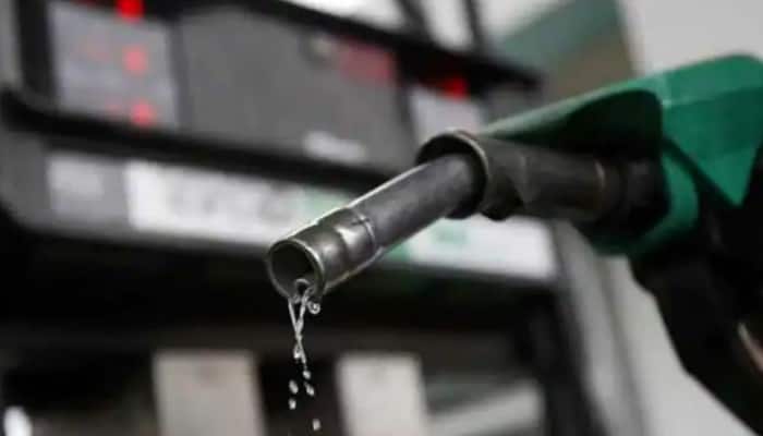 Petrol Prices Today, May 30, 2021: Prices remain unchanged after touching Rs 100 in Mumbai, check rates in metro cities | Economy News | Zee News