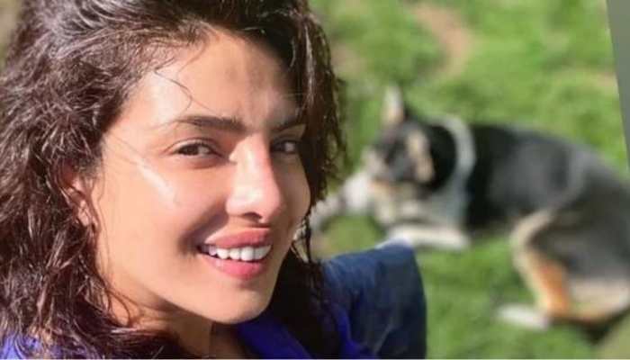 Priyanka Chopra spends quality time with her pet pooch Panda in London, shares sun-kissed selfie! 