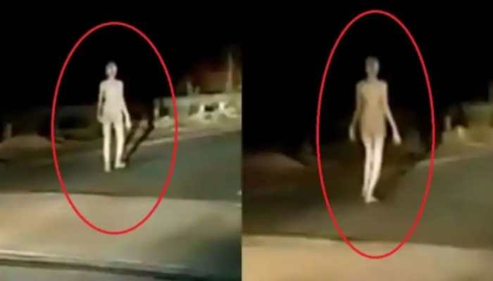 Alien sighted in Jharkhand&#039;s Hazaribagh? Check truth behind viral video