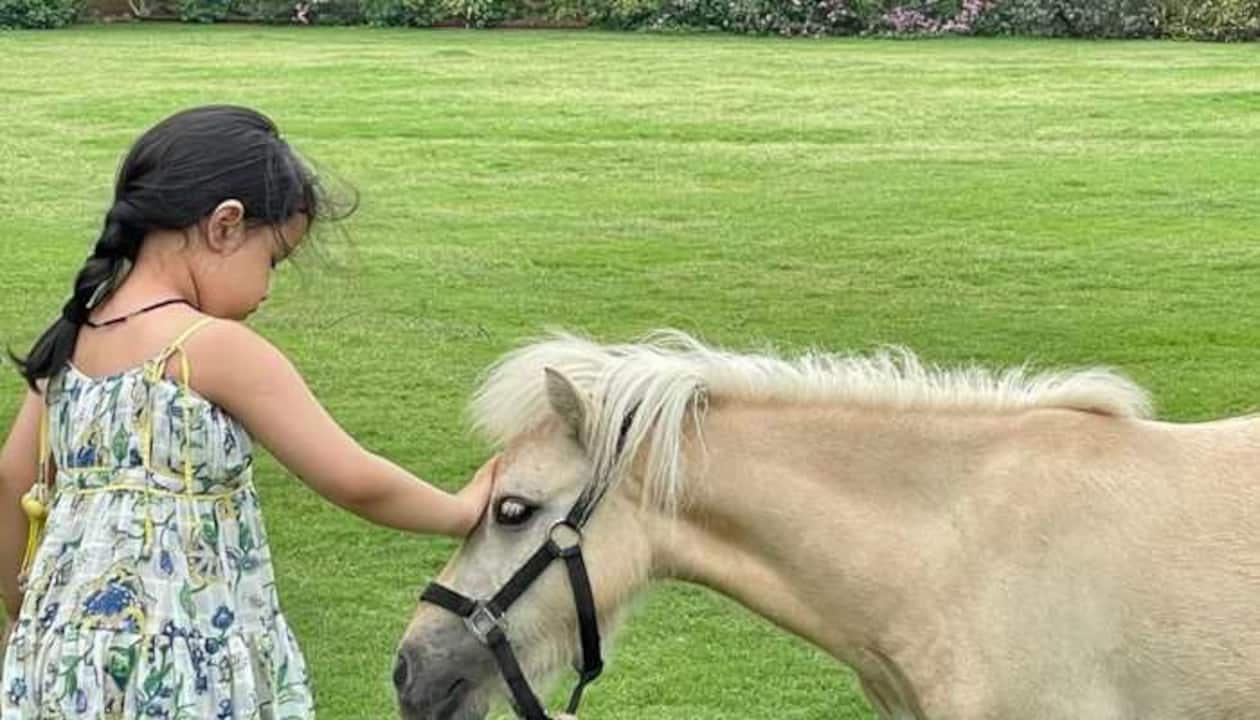 MS Dhoni adds new horse in farmhouse, gifts daughter Ziva a new pony | Cricket News | Zee News