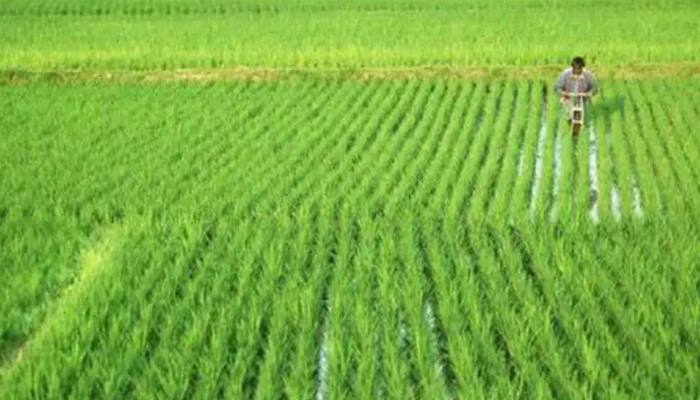 PM Kisan Yojana: Farmers can receive Rs 36,000 annually, here’s how
