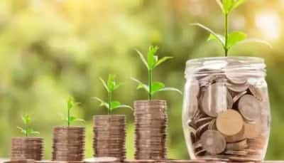 Looking to invest in mutual funds? THESE schemes gave double returns in 1 year