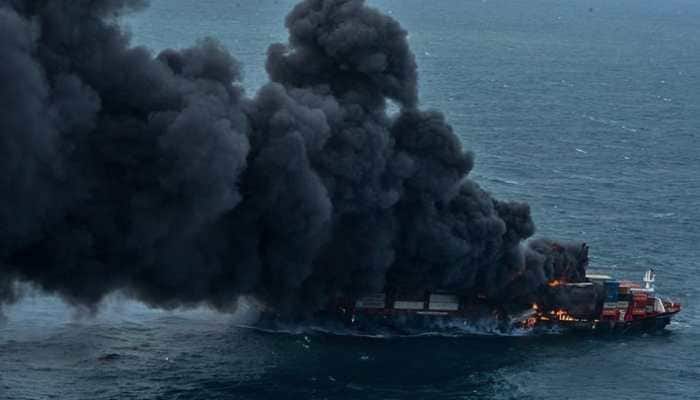 Sri Lanka: Dead marine life washes ashore as X-Press Pearl container ship burns