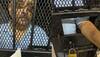 Fugitive diamantaire Mehul Choksi discloses names of abductors to Antigua Police